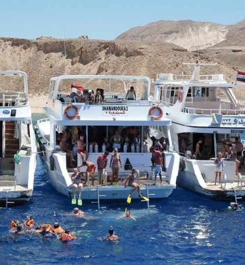 Snorkelling site at Tiran Island