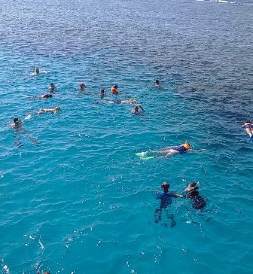 Супер Эль-Гуна на яхте 20 3-aqua-egypt-tours-5-600x450