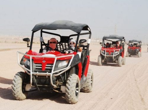 buggy 1 600x450 1 rbn1d1j7hrdrj85nhzf99sr87d4tf2p7pmszsgo8z8