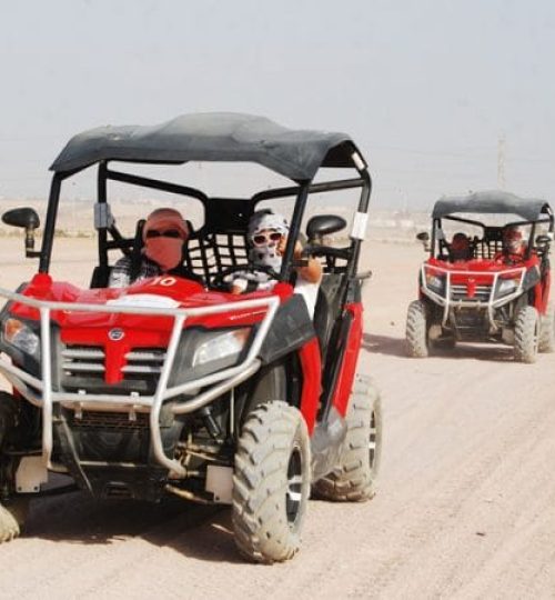 buggy 1 600x450 1