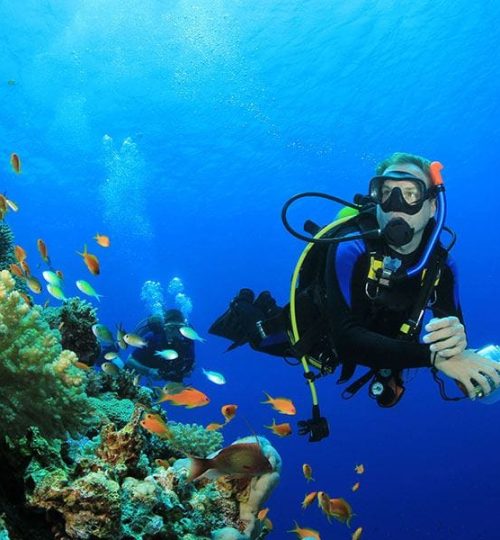 Дайвинг на весь день 1 diving-un-hurghada-4