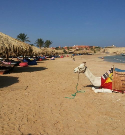 <a href="https://imperiya-turizma.com/small-yacht-individually/">Шарм-Эль-Нага</a> 4 империя туризма хургада