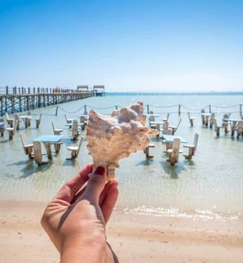 Оранжевый остров (4)