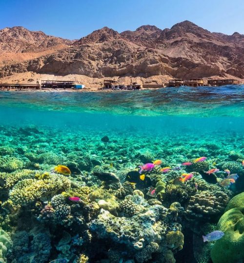 рифы в Дахабе